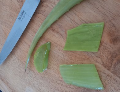 Aloe Vera cut