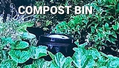 Compost Bin