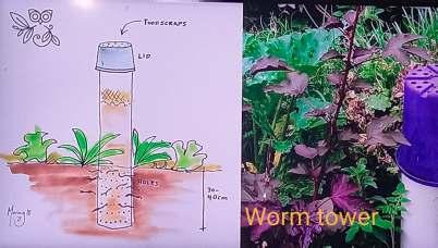 Worm Tower